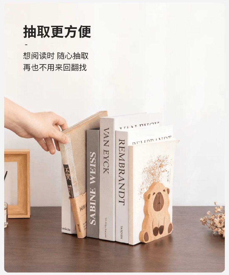 卡皮巴拉榉木书立详情图